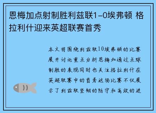 恩梅加点射制胜利兹联1-0埃弗顿 格拉利什迎来英超联赛首秀